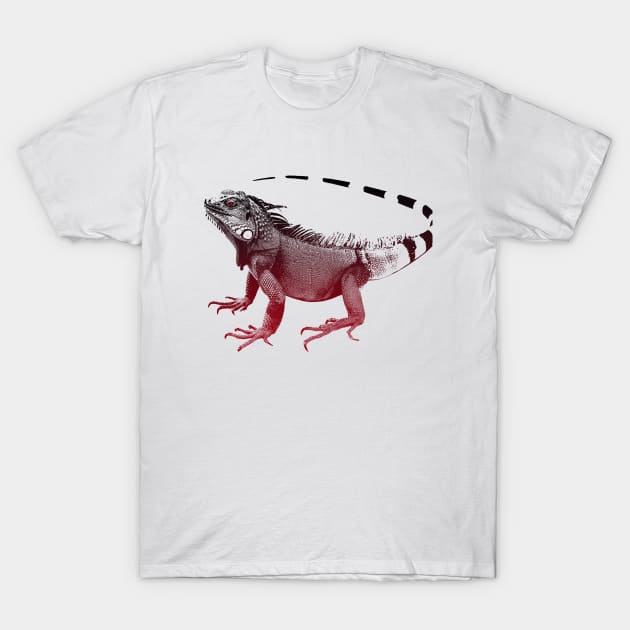 Iguana, red Iguana T-Shirt by hottehue